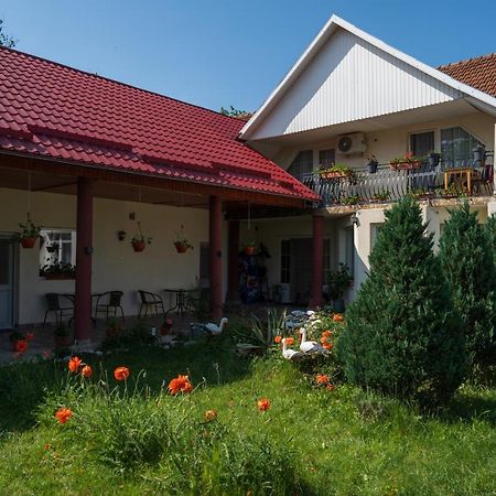 Отель Denisa & Rares Тэшнад Экстерьер фото